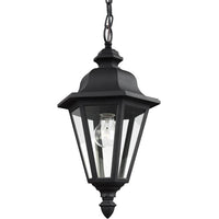 Socorro One Light Mini-Pendant (with Bulbs)