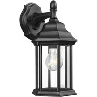 Sevier Small One Light Downlight Outdoor Wall Lantern (with Bulbs)