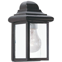 Mullberry Hill One Light Outdoor Wall Lantern (with Bulbs)