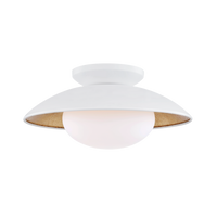 Mitzi Cadence Semi Flush Mount