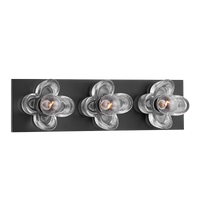 Shea 3 Light Vanity Light