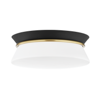 Mitzi Cath Flush Mount