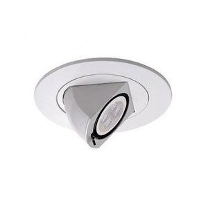 4" Round Adjustable Directional Trim with LED Bulb