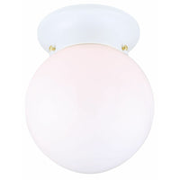 Ceiling Light Semi Flush Mount