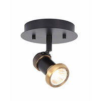 Canarm Tayte Flush Mount