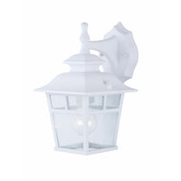 Fieldouse Outdoor Wall Light