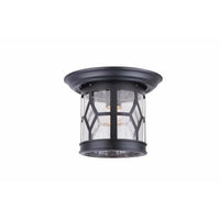 Atlanta Outdoor Ceiling Light