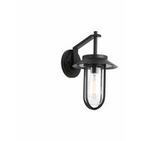 Canarm Navy Outdoor Wall Light