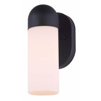 Canarm Callen Outdoor Ceiling Light