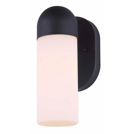 Canarm Callen Outdoor Ceiling Light