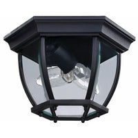 Foye Outdoor Ceiling Light