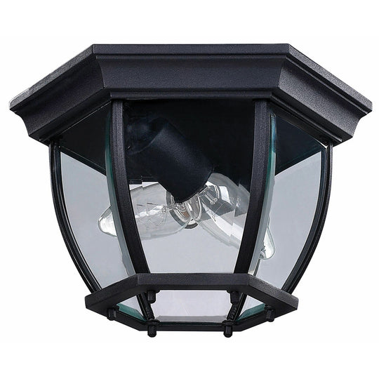 Foye Outdoor Ceiling Light