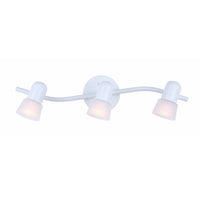 Omni Track Light