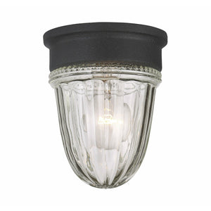 Exterior Collections Outdoor Ceiling Light Textured Black