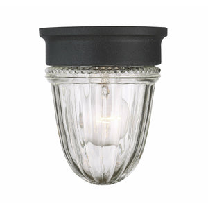 Exterior Collections Outdoor Ceiling Light Textured Black