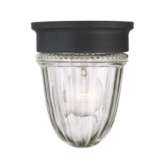 Exterior Collections Outdoor Ceiling Light