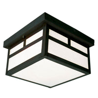 Outdoor Ceiling Light