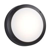 Outdoor Wall Light