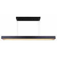 Jaco Linear Suspension