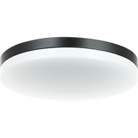 Orion Flush Mount