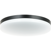 Orion Flush Mount