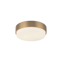 Quintz 2-Light Flush Mount