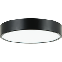 Plato Flush Mount