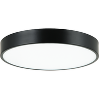 Plato Flush Mount