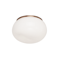 Gelasin Flush Mount
