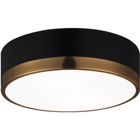 Trydor Flush Mount