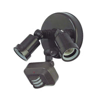 Motion Activated FloodLight Outdoor Wall Light