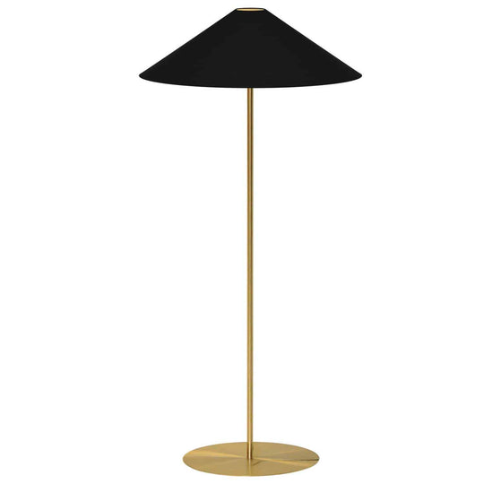 Floor Lamp (Decorative)