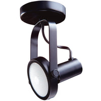 Par 30 Gimbal Monopoint