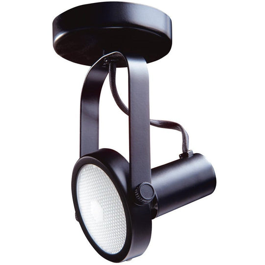 Par 30 Gimbal Monopoint