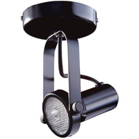 Par 20 Gimbal Monopoint