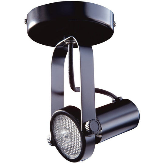 Par 20 Gimbal Monopoint