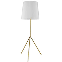 Tripod Floor Lamp (Decorative)