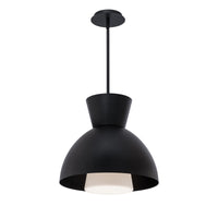 Carafe 16" LED Pendant
