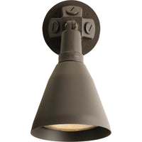 Par Lampholder Outdoor Wall Light