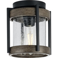 Whitmire Outdoor Ceiling Light