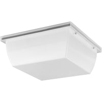 Hard Nox Outdoor Ceiling Light
