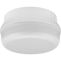 Hard Nox Outdoor Ceiling Light