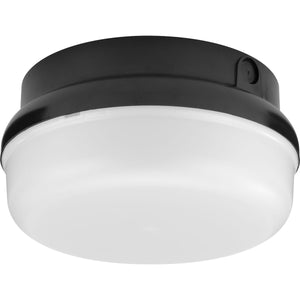 Hard Nox Outdoor Ceiling Light