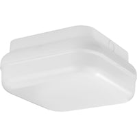 Hard Nox Outdoor Ceiling Light