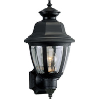 Non Metallic Incandescent Outdoor Wall Light