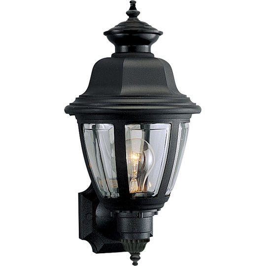 Non Metallic Incandescent Outdoor Wall Light