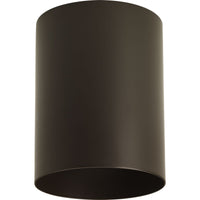 Cylinder Outdoor Ceiling Light