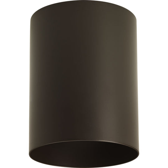 Cylinder Outdoor Ceiling Light