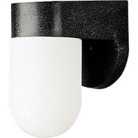 Polycarbonate Outdoor Wall Light