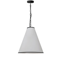 Prym 1 Light 20 Inch Pendant